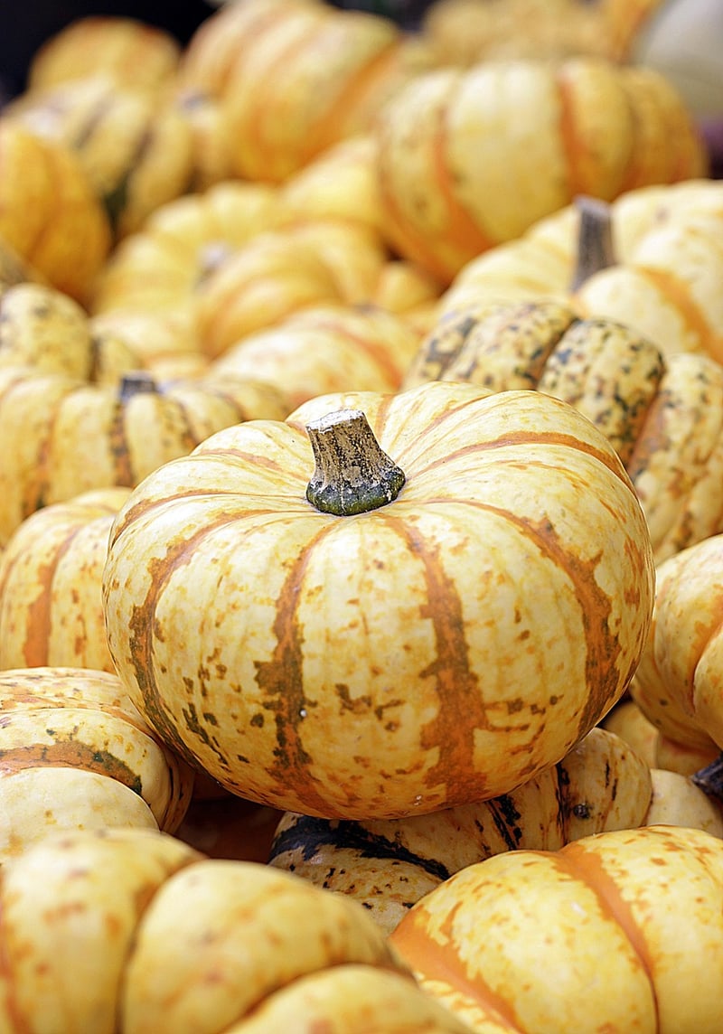 Fall decorations