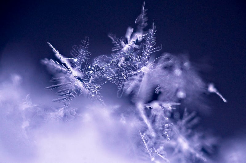 Winter decorations